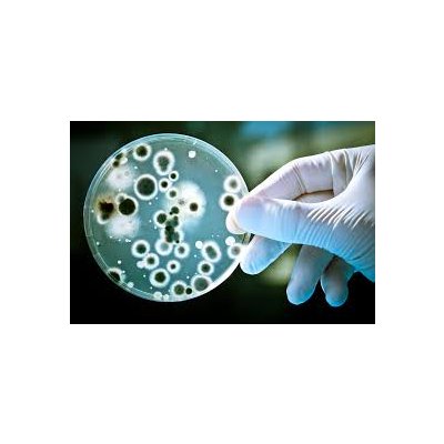 Удивительные 